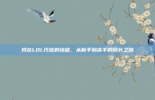 我在LOL代练的旅程,从新手到高手的成长之路