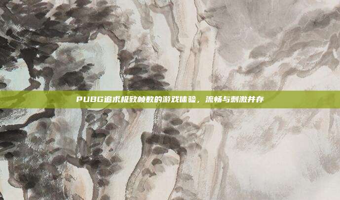 PUBG追求极致帧数的游戏体验,流畅与刺激并存