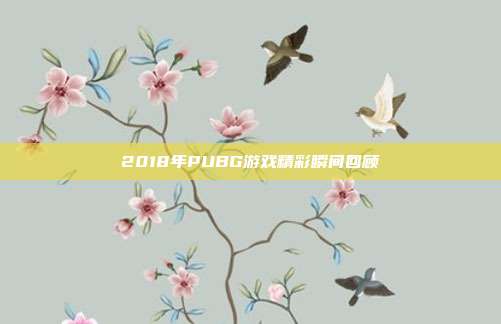 2018年PUBG游戏精彩瞬间回顾