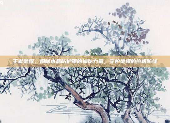 王者荣耀,揭秘水晶防护罩的神秘力量,守护荣耀的终极防线