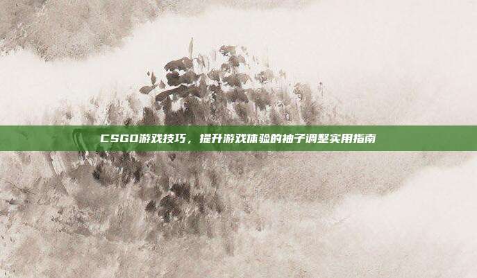 CSGO游戏技巧,提升游戏体验的袖子调整实用指南