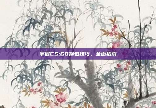 掌握CS:GO换包技巧,全面指南