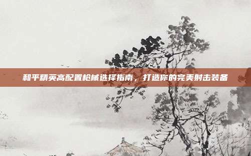 和平精英高配置枪械选择指南,打造你的完美射击装备