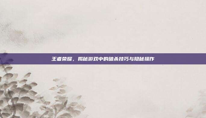 王者荣耀,揭秘游戏中的暗杀技巧与隐秘操作