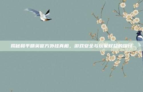 揭秘和平精英官方外挂真相,游戏安全与玩家权益的探讨