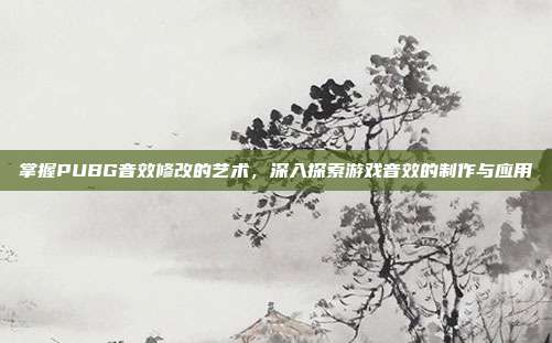 掌握PUBG音效修改的艺术,深入探索游戏音效的制作与应用