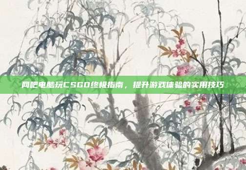 网吧电脑玩CSGO终极指南,提升游戏体验的实用技巧