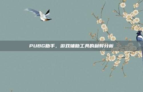 PUBG助手,游戏辅助工具的利弊分析