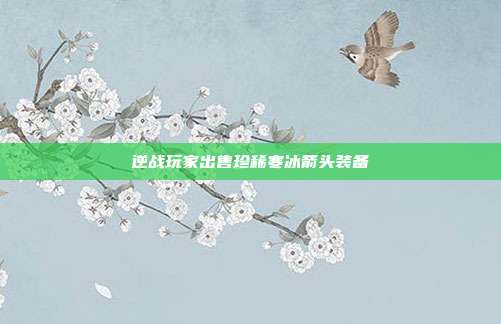 逆战玩家出售珍稀寒冰箭头装备