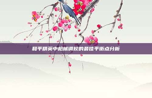 和平精英中枪械调校的最佳平衡点分析