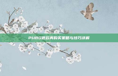 PUBG退款再购买策略与技巧详解