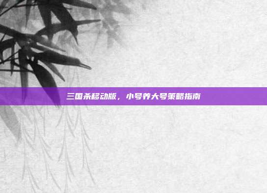 三国杀移动版,小号养大号策略指南