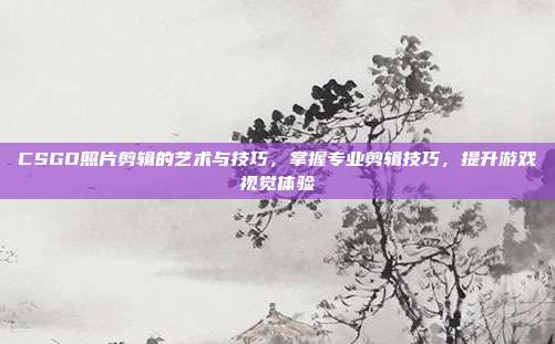 CSGO照片剪辑的艺术与技巧,掌握专业剪辑技巧,提升游戏视觉体验