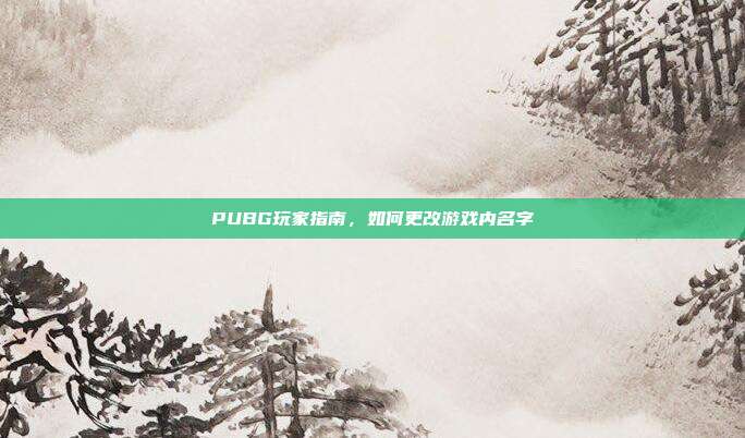 PUBG玩家指南,如何更改游戏内名字