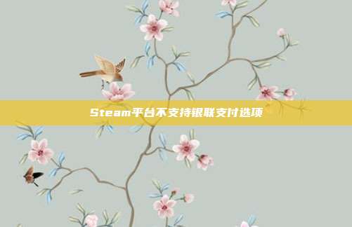 Steam平台不支持银联支付选项