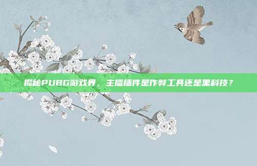 揭秘PUBG游戏界,主播插件是作弊工具还是黑科技?