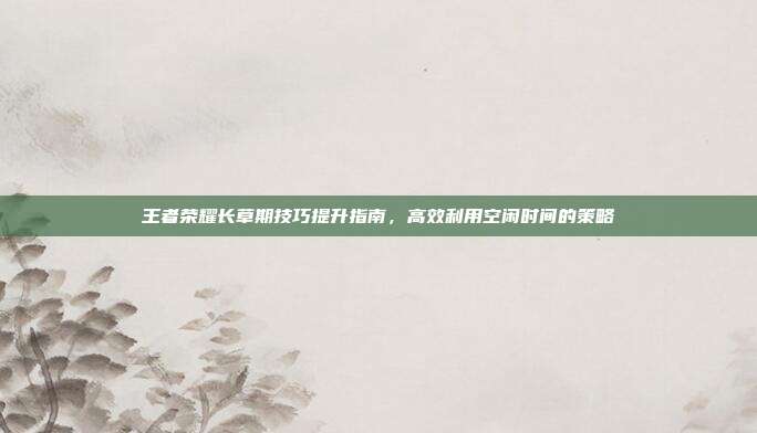 王者荣耀长草期技巧提升指南,高效利用空闲时间的策略