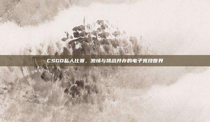 CSGO私人比赛,激情与挑战并存的电子竞技世界