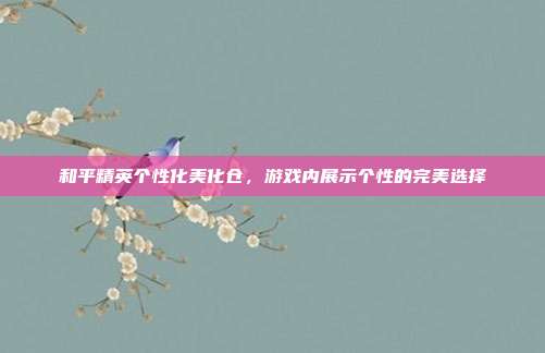 和平精英个性化美化仓,游戏内展示个性的完美选择