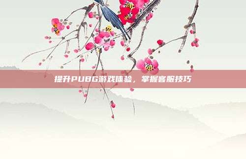 提升PUBG游戏体验,掌握客服技巧