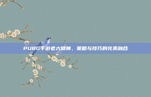 PUBG手游老六精神,策略与技巧的完美融合