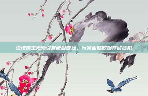 绝地求生更新引发硬盘告急,玩家面临数据存储危机