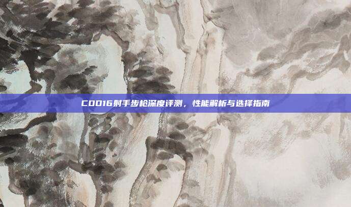 COD16射手步枪深度评测,性能解析与选择指南