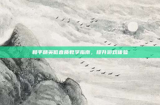 和平精英低音质教学指南,提升游戏体验