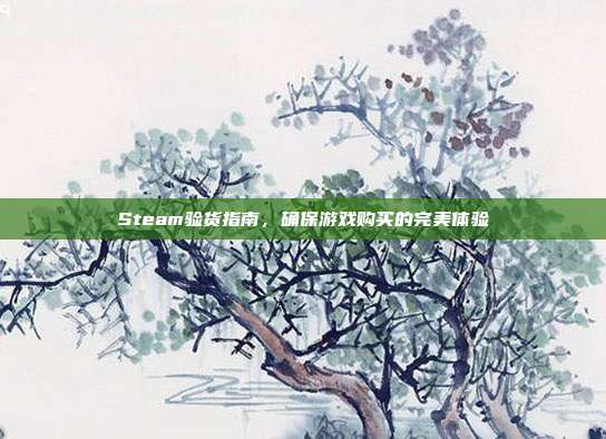 Steam验货指南,确保游戏购买的完美体验