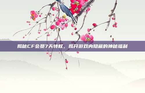 揭秘CF会员7天特权,揭开游戏内隐藏的神秘福利