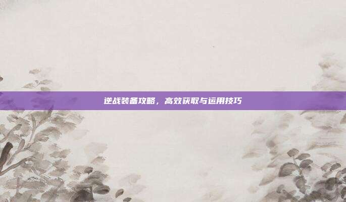 逆战装备攻略,高效获取与运用技巧