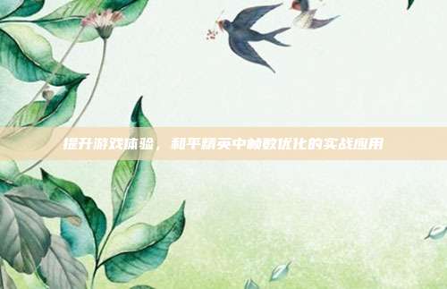 提升游戏体验,和平精英中帧数优化的实战应用