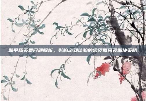 和平精英麦问题解析,影响游戏体验的常见原因及解决策略