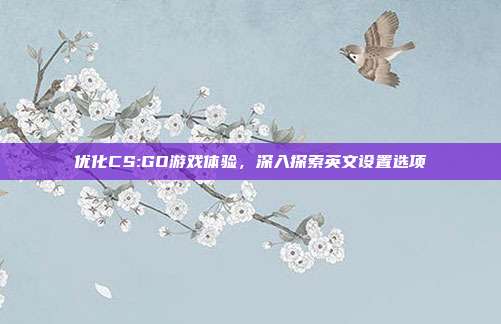优化CS:GO游戏体验,深入探索英文设置选项