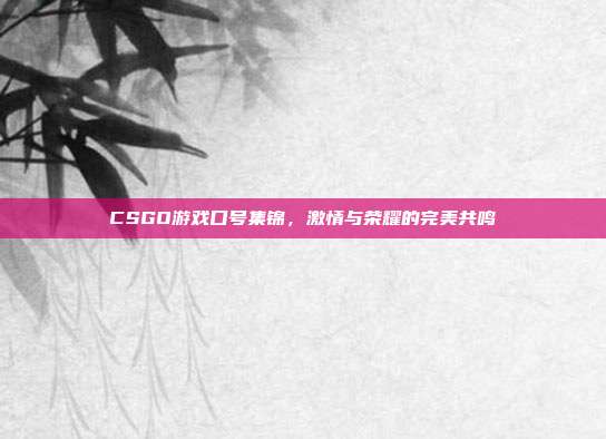 CSGO游戏口号集锦,激情与荣耀的完美共鸣