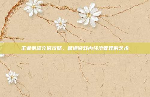 王者荣耀充值攻略,精通游戏内经济管理的艺术