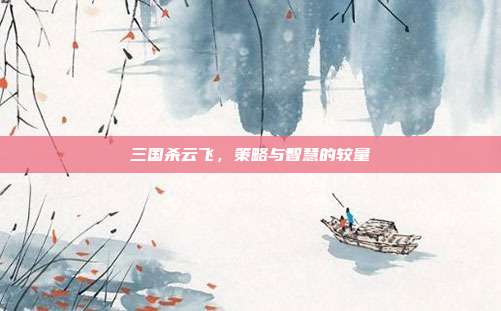 三国杀云飞,策略与智慧的较量