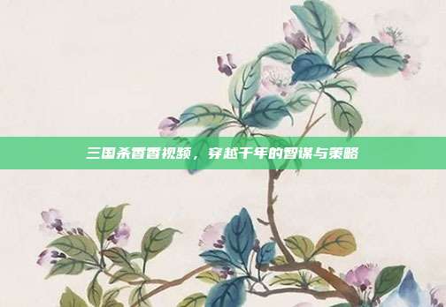 三国杀香香视频,穿越千年的智谋与策略