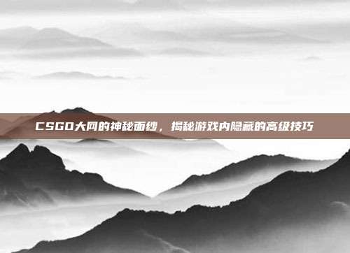 CSGO大网的神秘面纱,揭秘游戏内隐藏的高级技巧