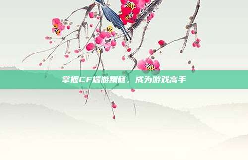 掌握CF端游精髓,成为游戏高手