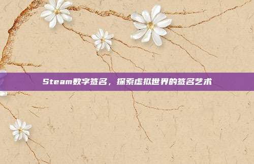 Steam数字签名,探索虚拟世界的签名艺术