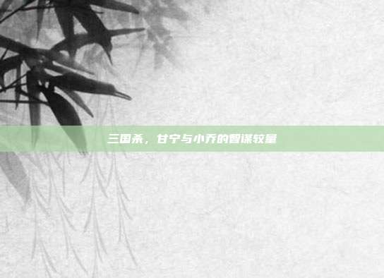 三国杀,甘宁与小乔的智谋较量