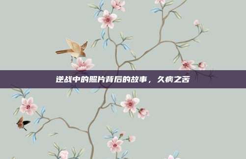 逆战中的照片背后的故事,久病之苦