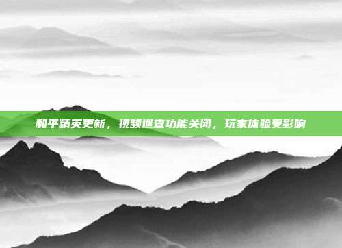 和平精英更新,视频巡查功能关闭,玩家体验受影响