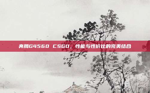 奔腾G4560 CSGO,性能与性价比的完美结合