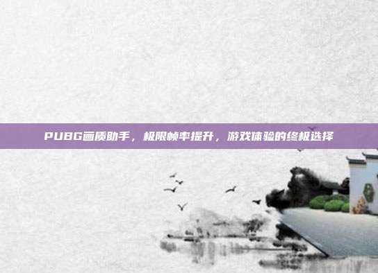 PUBG画质助手,极限帧率提升,游戏体验的终极选择