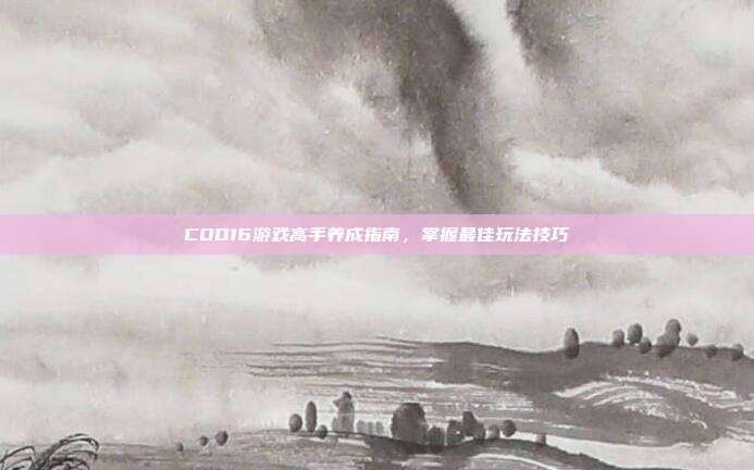 COD16游戏高手养成指南,掌握最佳玩法技巧