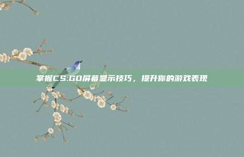掌握CS:GO屏幕显示技巧,提升你的游戏表现
