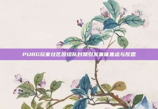 PUBG玩家社区因组队封禁引发集体焦虑与反思