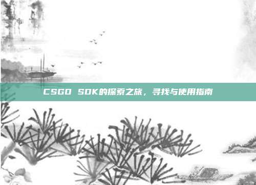 CSGO SDK的探索之旅,寻找与使用指南